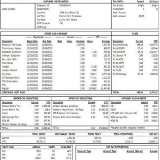 USA Kellog food processing company pay stub download template file