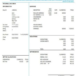 USA Kering luxury goods company pay stub download template file