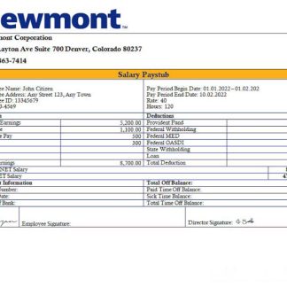 USA Lowe’s Pro Supply wholesale company pay stub download template file