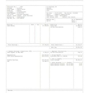Adapt ID Group Paystub download template file