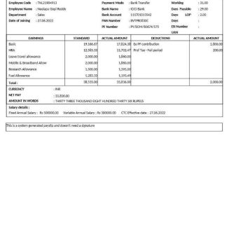 Business Integrity Services payslip template in Word and PDF formats.pdf, 1 download template file