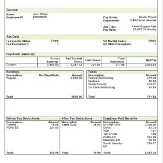 USA Maesk shipping company pay stub download template file