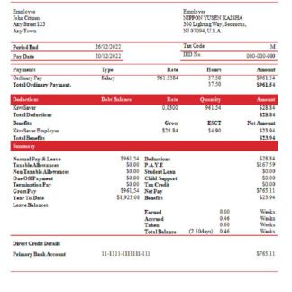 USA manufacturing company earning statement download template file