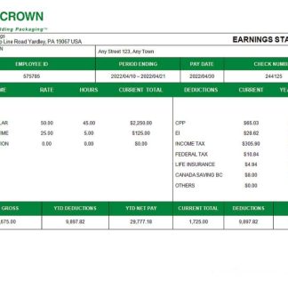 USA MEASURE Twice Financia payslip template in Word and PDF download template file