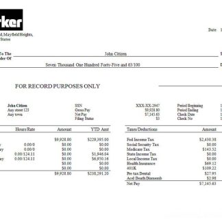 USA Merck & Co. pharmaceutical company pay stub download template file