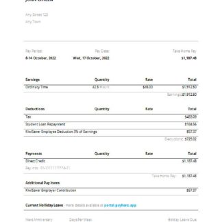 USA Michael Courtney Design graphic company pay stub download template file
