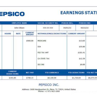 USA MicroVision informational company pay stub download template file