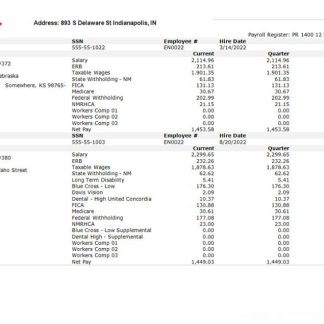 USA MISSION Bell Winery earning statement in word and PDF formats download template file