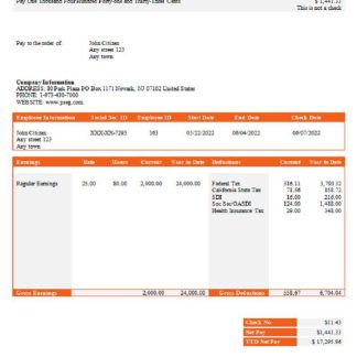 USA New York Abstract United pay stub download template file