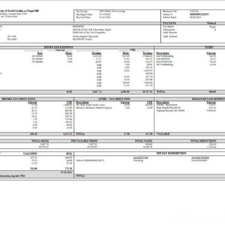 USA New York earning statement download template file