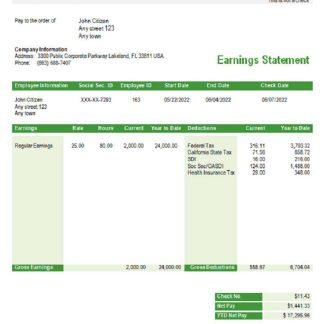 USA Newmont Corporation mining company pay stub download template file