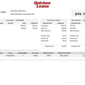 USA NextEra Energy electric company pay stub download template file