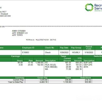 USA NIPPON YUSEN KAISHA shipping company pay stub download template file