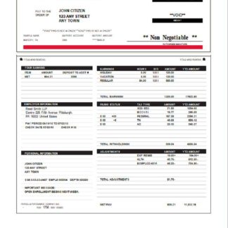 USA Ohio construction company earnings statement download template file