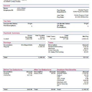 USA Omega Tours tourism company pay stub download template file