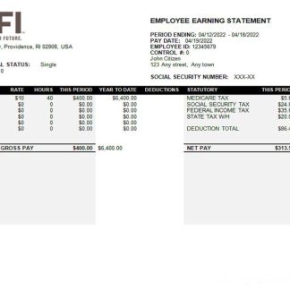 USA Oracle software company pay stub download template file
