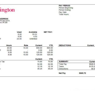 USA PayHero financial company pay stub download template file