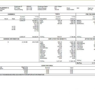 USA Pepsico Inc. drink producing company pay stub download template file
