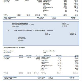 USA personal earning statement template download template file