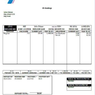 USA pharmaceutical company earnings statement download template file