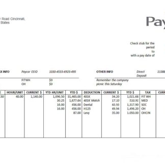 USA Procter & Gamble consumer products company pay stub download template file