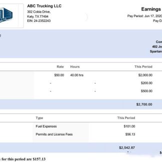 USA PSEG utilities company pay stub download template file
