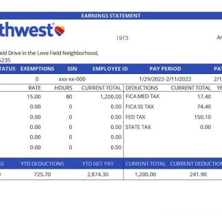 USA Publix Super Markets Inc. supermarket company pay stub download template file