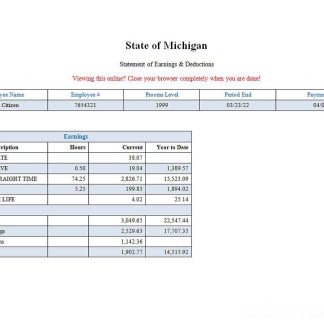 USA Quicken Loans Inc. mortgage loan company pay stub download template file