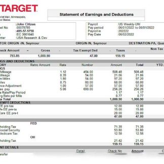 USA Recreational Services entertainment company pay stub download template file