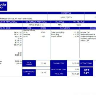 USA Reed Smith LLP law company pay stub download template file