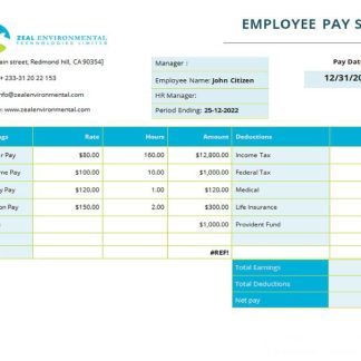 USA retail company earning statement download template file