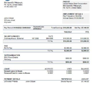 USA social service company employee sheet download template file