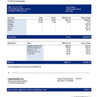 USA software company employee sheet download template file