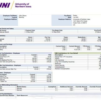 USA South Carolina TRUCKING LLC paystub in Word and PDF formats download template file