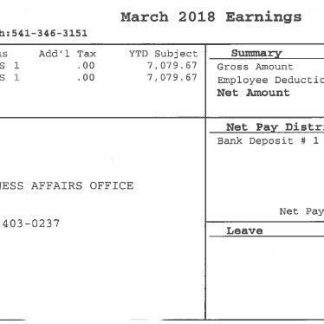 USA South Dakota payroll e stub word and pdf download template file
