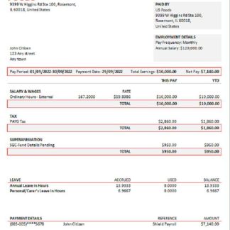 USA Southwest Airlines airlines company pay stub download template file