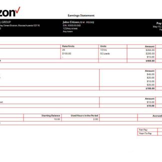 USA State of Michigan social services company pay stub download template file
