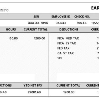 USA Target retail company pay stub download template file