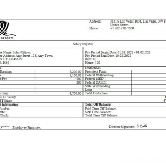 USA Texas commercial cleaning company earnings statement template in Word and PDF format download template file