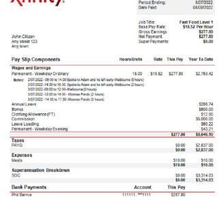 USA THE CLEAN Janitorial Mainenance Inc pay stub in Word and PDF formats download template file