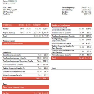 USA Thermo Fisher Scientific laboratory instruments company pay stub download template file