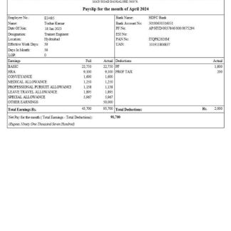 call forwarding company paystub template in Excel and PDF formats download template file