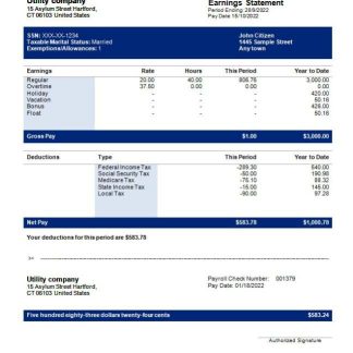 USA Turning Point Brands tobacco company pay stub download template file