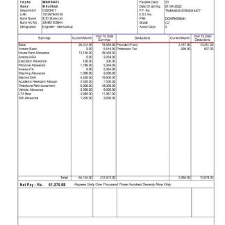 USA United Airlines Holdings airlines company pay stub download template file