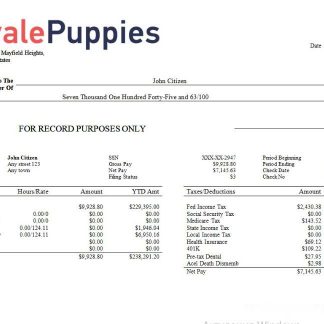 USA University of California educational company pay stub download template file
