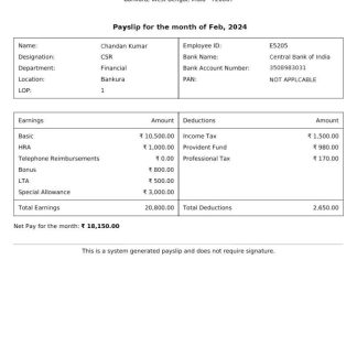 USA UNIVERSITY of Norther Iowa paystub in Excel and PDF formats download template file
