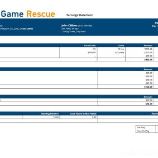 USA Verizon telecommunication company pay stub download template file