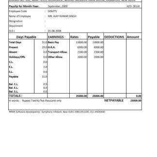 USA VIRGINIA Magnolia Home Care earning statement in Word and PDF formats download template file