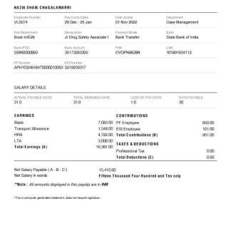 USA Waste & Recycling recycling company pay stub download template file