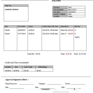 USA Whirlpool Corporation commercial company pay stub download template file